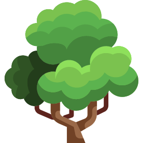 Growth Image