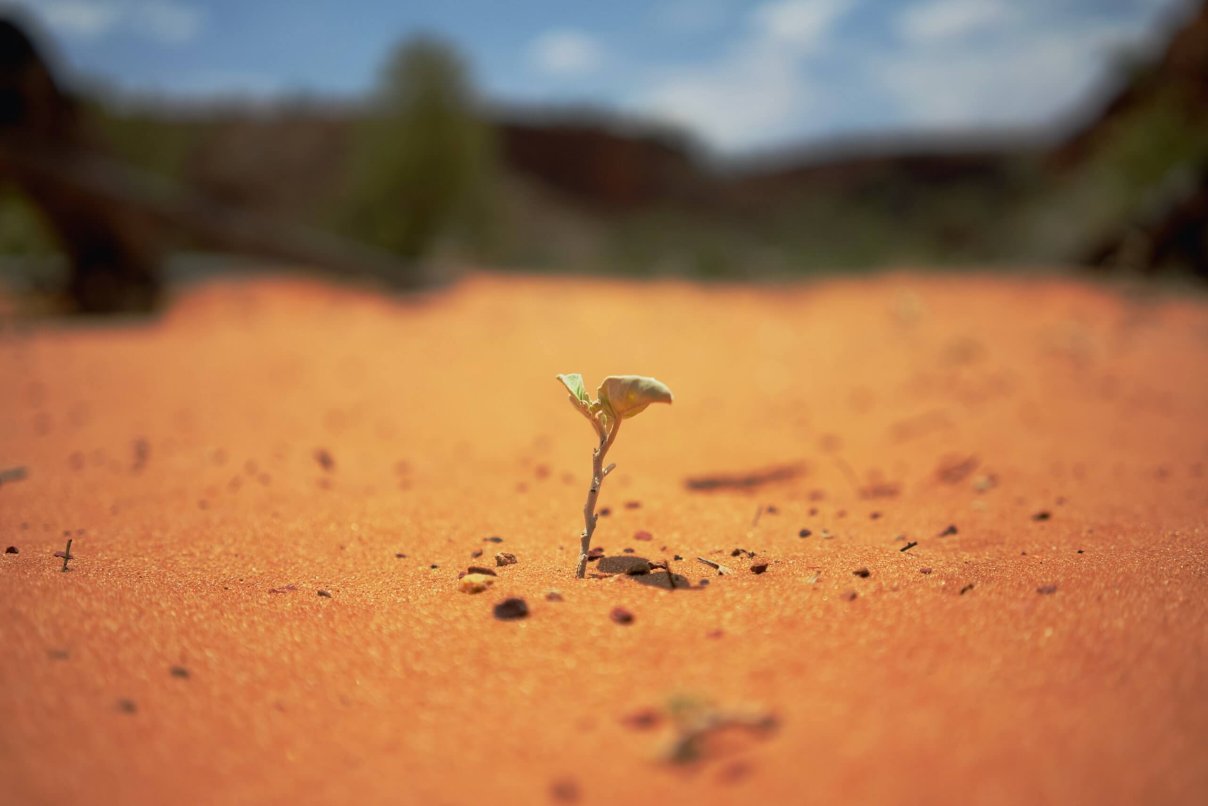 lubo-minar-HtJGfVyG4rA-unsplash